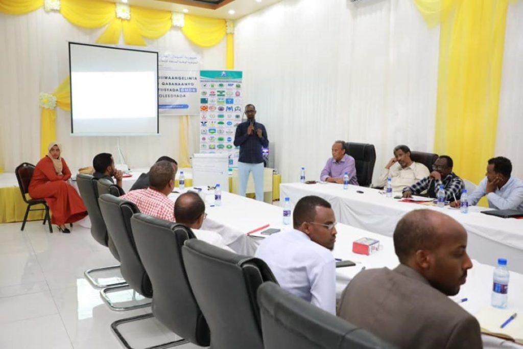 UNDP Somalia workshop capacity building elections
